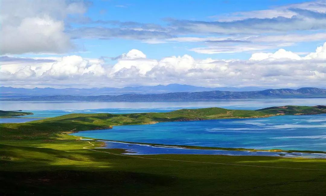 青海之旅，趣事友情闪耀高原日常